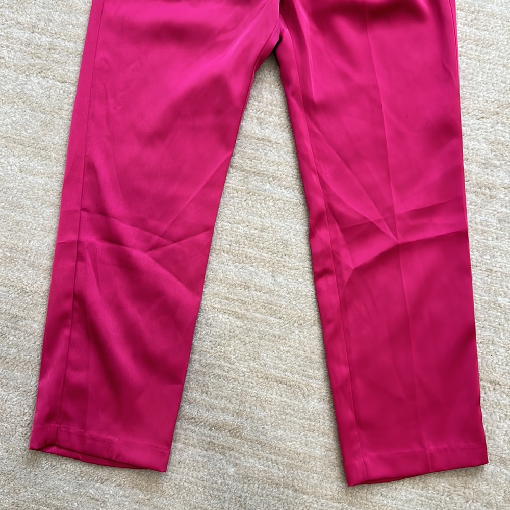 ENDLESS ROSE Pants | Small | Satin Effect - Picture 4 of 5